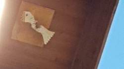 IMG 20220702 WA0001