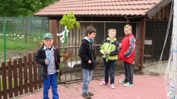 IMG 0374